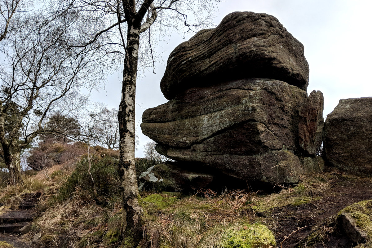 The crags are a series of millstone grit outcrops in the valley at Hardcastle crags