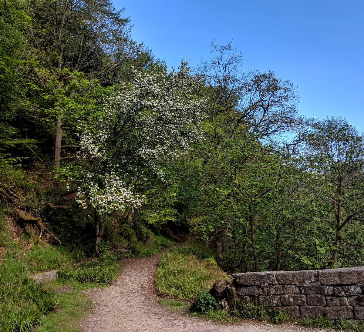 The first steps of the crags constitutional walk.