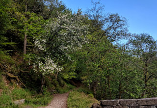 The first steps of the crags constitutional walk.