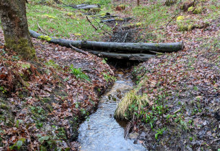 Leaky dams in action as part of the slow the flow scheme at hardcastle crags