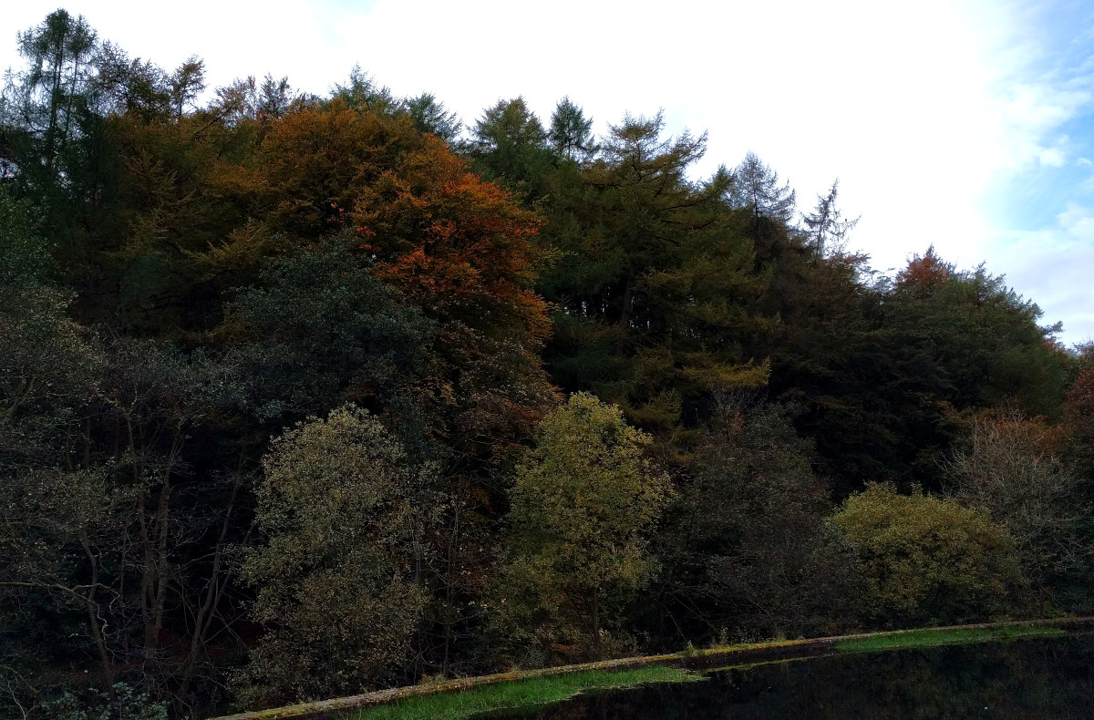 Hardcastle Crags has one of the best displays of Autumn colour I have ever seen.