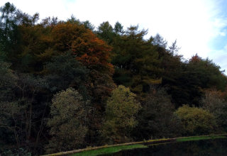 Hardcastle Crags has one of the best displays of Autumn colour I have ever seen.